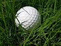 Klicke auf die Grafik für eine vergrößerte Ansicht

Name: Golf_ball_grass.jpg
Ansichten: 495
Größe: 124,5 KB
ID: 817005